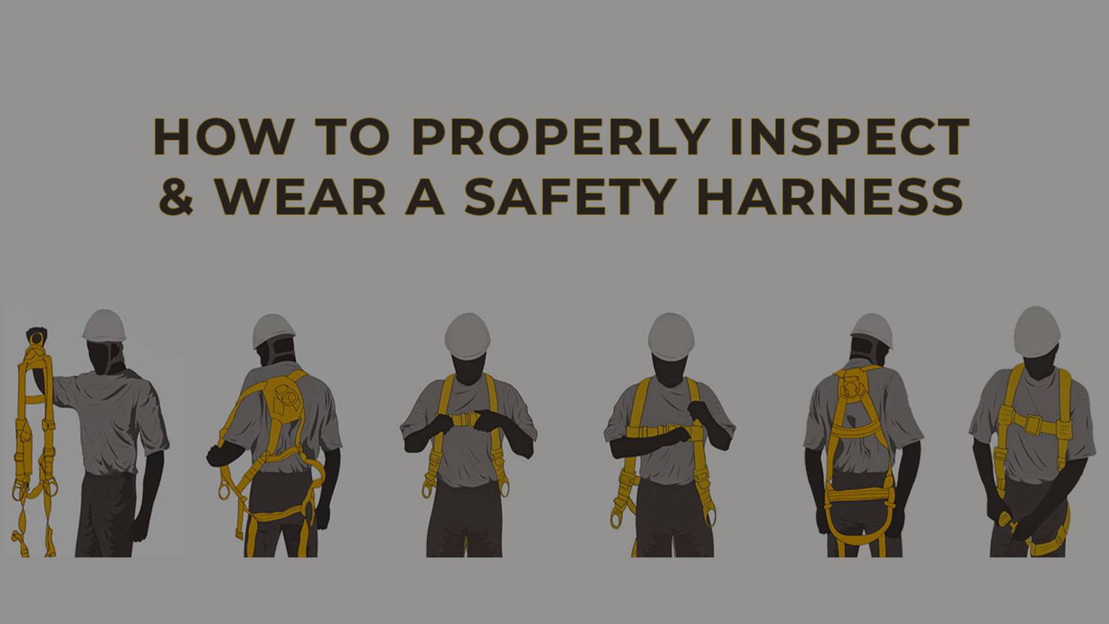 https://www.mhe4u.com/wp-content/uploads/2020/12/harness-inspection.jpg